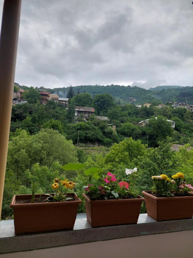 Arman Guest House Дилиян Екстериор снимка
